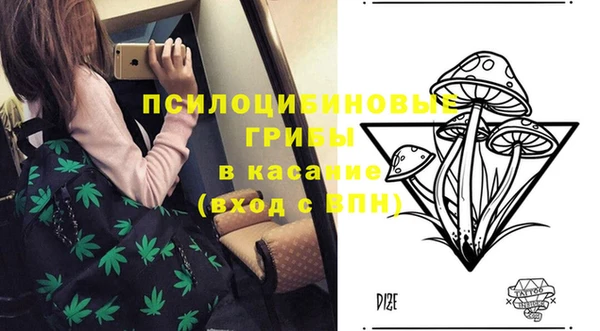 винт Верхний Тагил